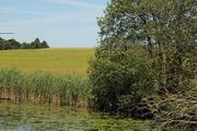 foto kanału
